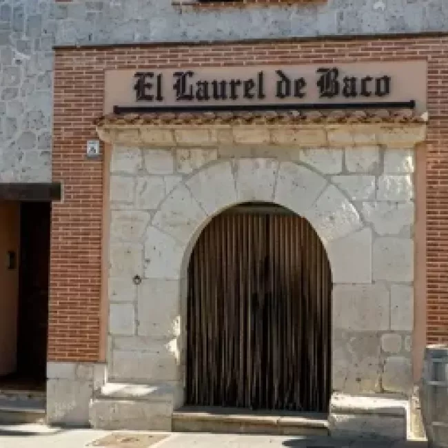 Mesón El Laurel de Baco